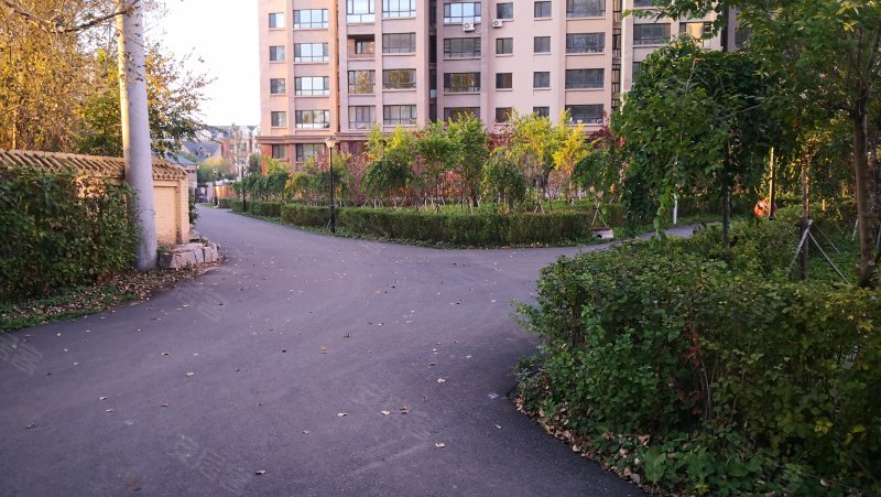 温哥华森林(二期),香福路188号-哈尔滨温哥华森林(二期)二手房,租房