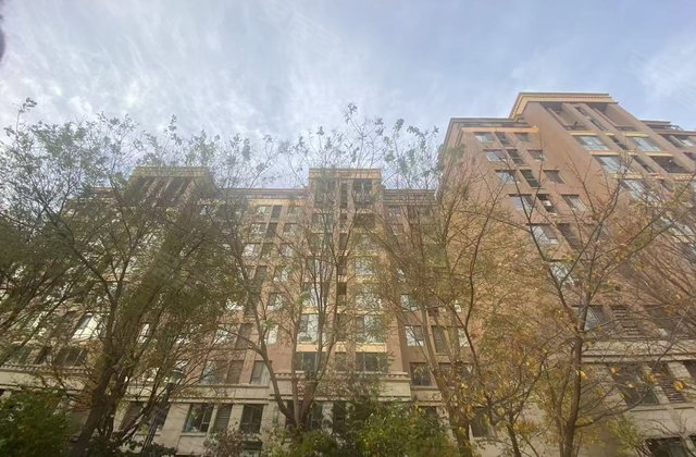 金地仰山(东区)3室2厅177.43㎡539万二手房图片