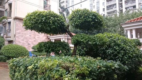 阳光水榭花园,新风路266号 - 河源阳光水榭花园二手房,租房,房价-河源
