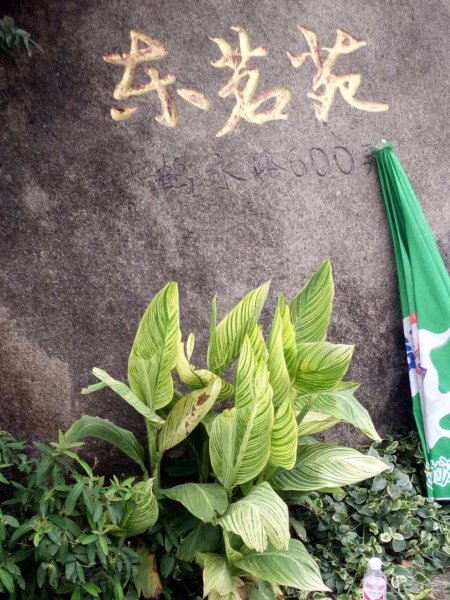 鹤沙航城东茗苑(中区)