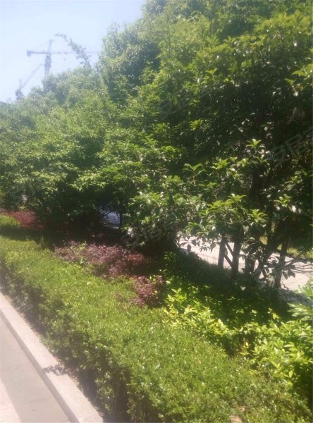 广盛公寓,义蓬中路320号-杭州广盛公寓二手房,租房,房价-杭州安居客