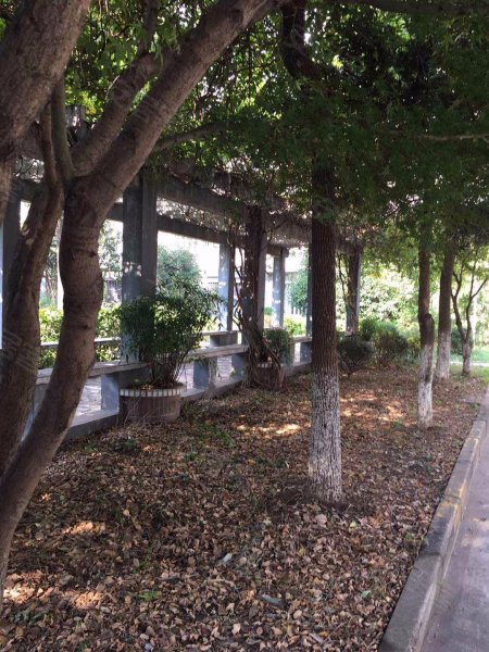 塔城路685弄小区 