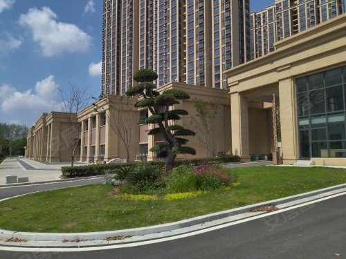 棠悦花园(北区),松杨路236号 - 南京棠悦花园(北区)二手房,租房,房价