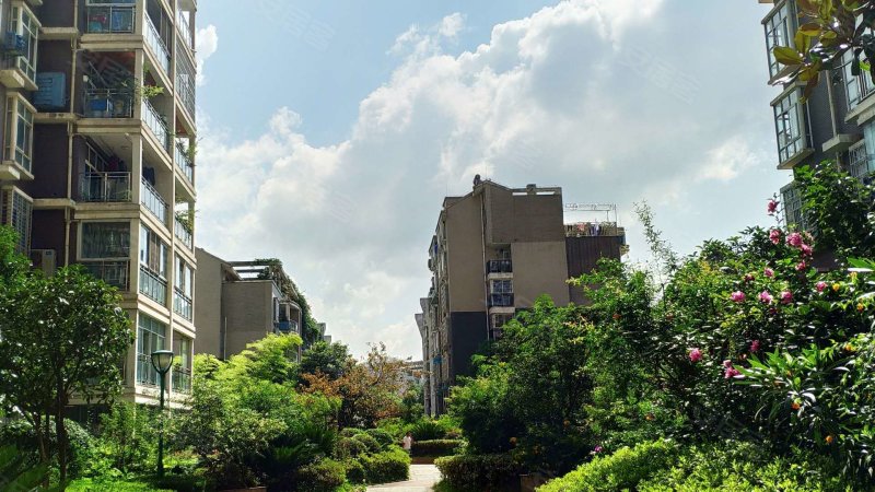 京海大厦,香港路-遵义京海大厦二手房,租房,房价-遵义安居客