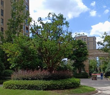 荣安香园(二期)