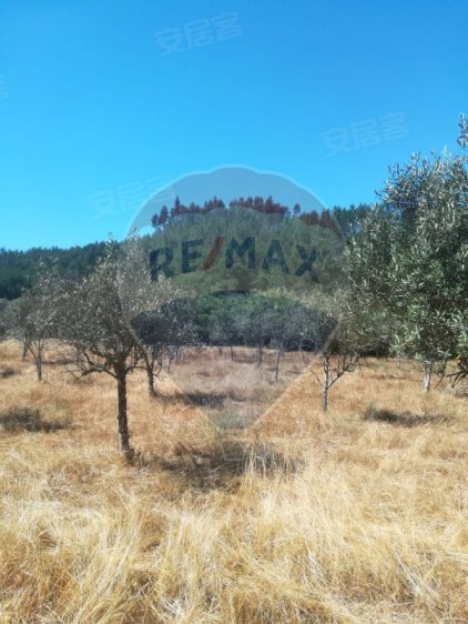 阿布兰特斯本波斯塔待售土地