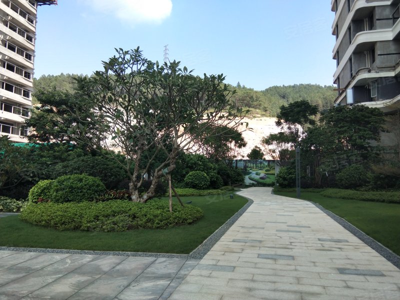 德商樾玺,永安二路,金日华路-中山德商樾玺二手房,租房,房价-中山安居