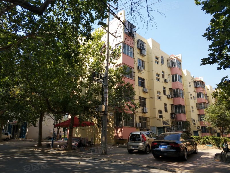 师苑小区,任丘路557号-濮阳师苑小区二手房,租房,房价-濮阳安居客