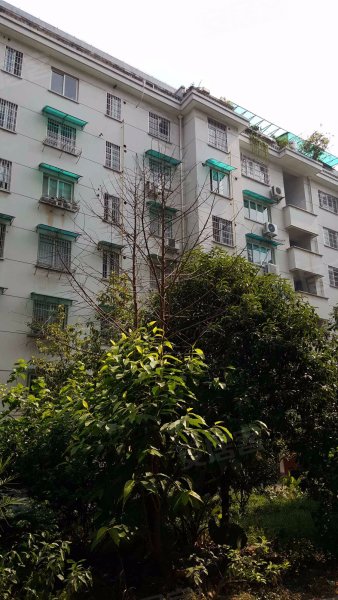 杏林苑,双馨路127号-金华杏林苑二手房,租房,房价-金华安居客