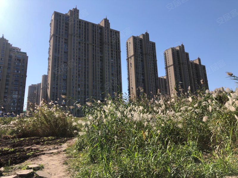 荆山花园(西区),利民东路-芜湖荆山花园(西区)二手房,租房,房价-芜湖