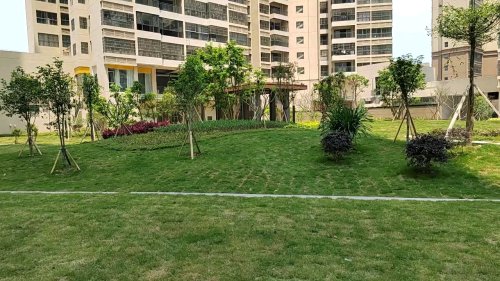 佳和碧海湾,祥龙一路,近公园一路 - 梧州佳和碧海湾二手房,租房,房价