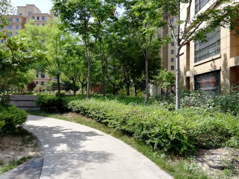 御景苑(北区),东门街513号-郓城御景苑(北区)二手房,租房,房价-郓城