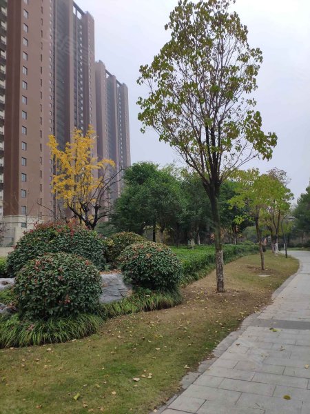 万科橙郡,平山路-徐州万科橙郡二手房,租房,房价-徐州安居客