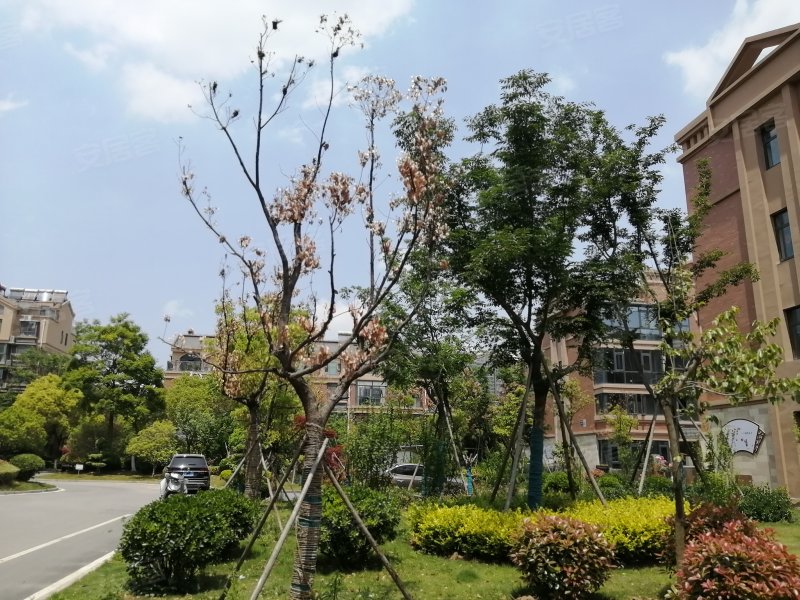 滨湖新城,淮海东路29号-淮北滨湖新城二手房,租房,房价-淮北安居客