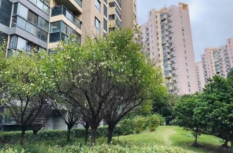 天禧嘉苑(西区),卧龙路333弄-上海天禧嘉苑(西区)二手房,租房,房价