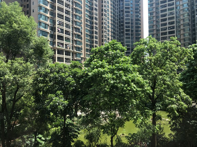 英德维港半岛,滨江西路-清远英德维港半岛二手房,租房,房价-清远安居