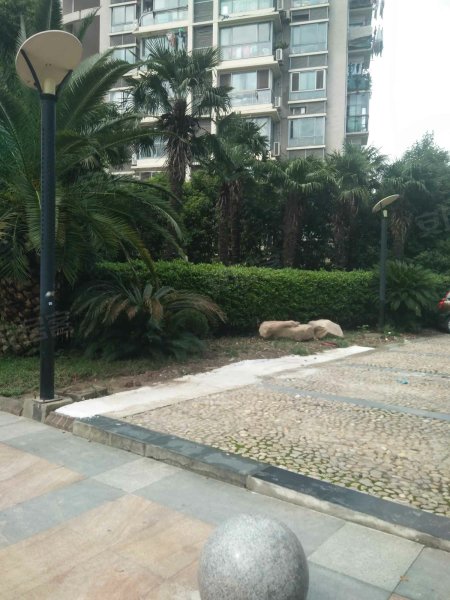 中星海上名庭(一期)