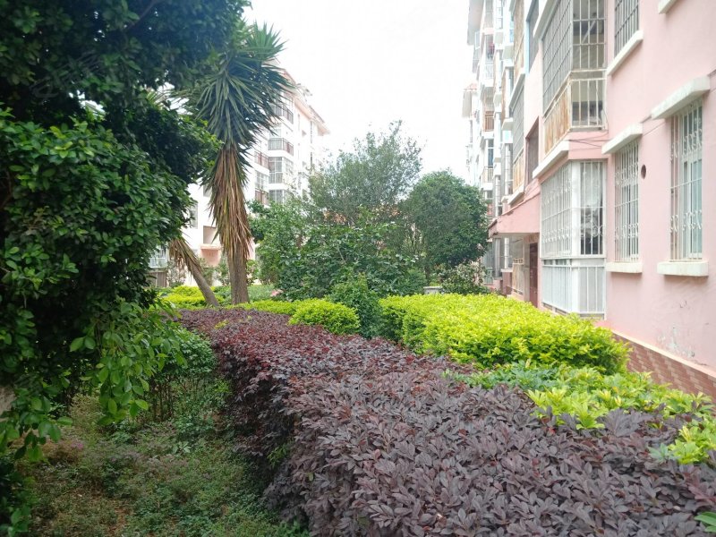 秀苑花园,秀苑巷2号-楚雄秀苑花园二手房,租房,房价-楚雄安居客