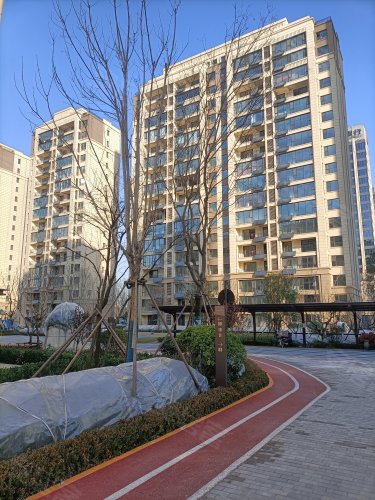 儒辰金邑樾府,滨河东路,近黄金路 - 临沂儒辰金邑樾府二手房,租房