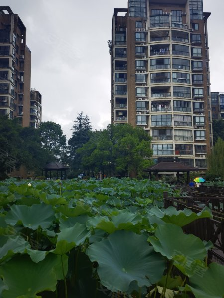 芭堤水岸,康庄路-台州芭堤水岸二手房,租房,房价-台州安居客