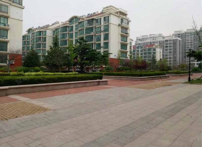 瑞海花园d区(黄岛)