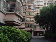 石井小区图片