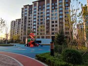 大张庄镇小区图片