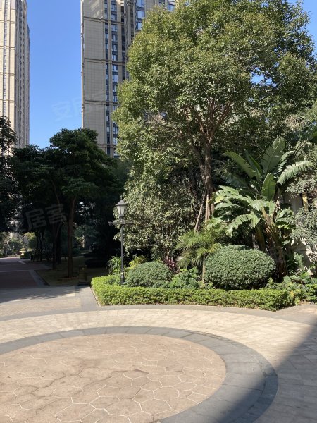 阳光凡尔赛宫a区