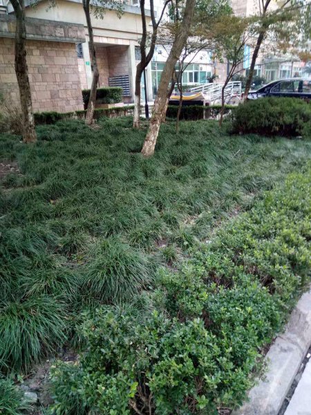 大华公园世家康华苑(二期) 