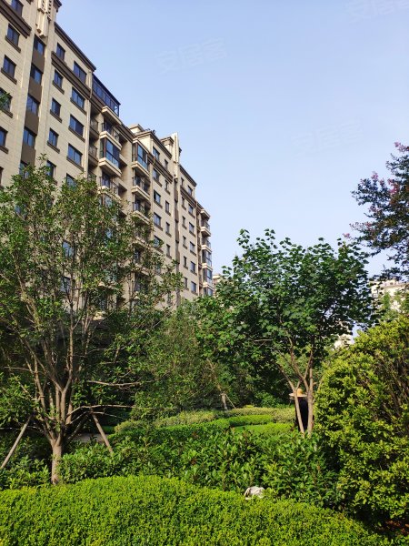 恒基都市森林,擂鼓石大街127号-泰安恒基都市森林二手房,租房,房价