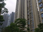 绿地外滩公馆 交通便捷 楼龄新 精装好房 电梯房 满五