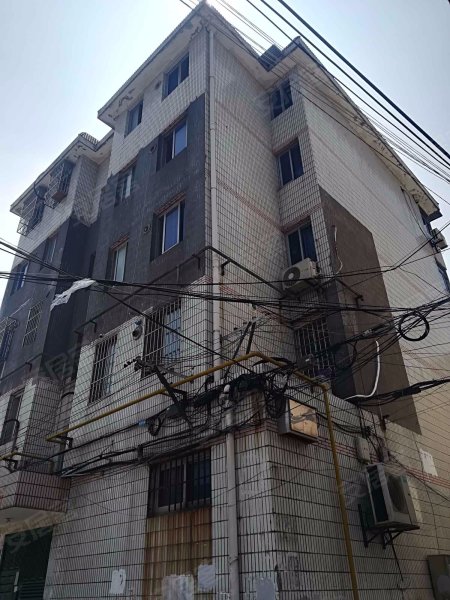 市一路256弄小区 