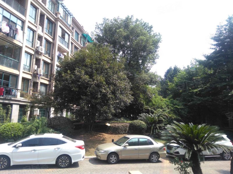 尚格名城春江花月