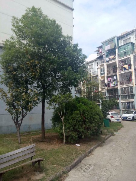 春晖园一区,塔子桥南路319号-南昌春晖园一区二手房,租房,房价-南昌