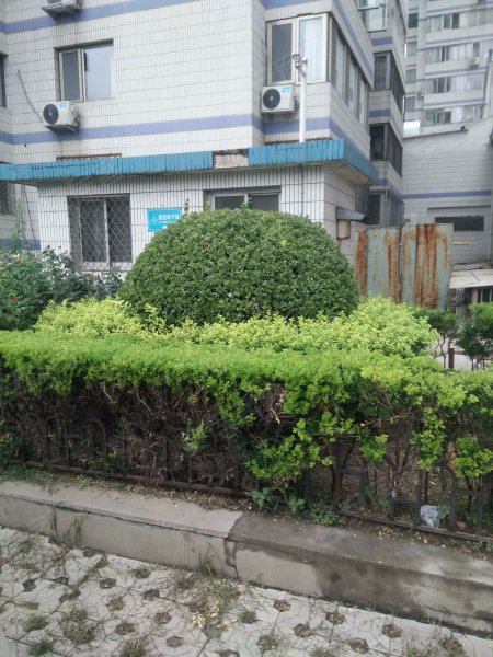 力源里小区,东四环中路-北京力源里小区二手房,租房,房价-北京安居客