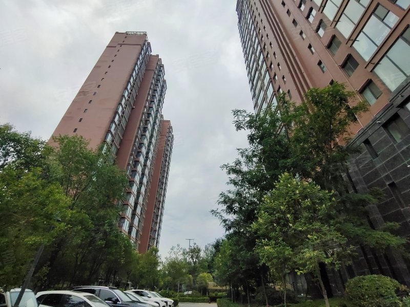 外滩首府,红旗东街-运城外滩首府二手房,租房,房价-运城安居客