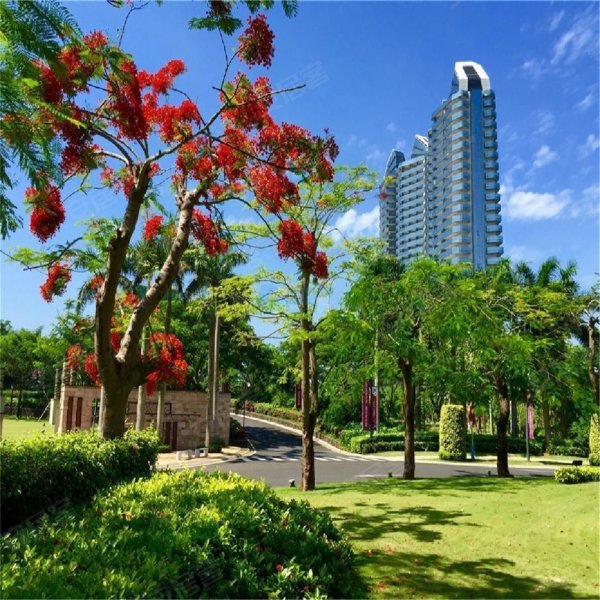 融创博鳌金湾,滨海大道8号-北京融创博鳌金湾二手房,租房,房价-北京