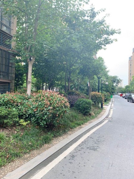 世纪景园,黄山路618号-扬州世纪景园二手房,租房,房价-扬州安居客