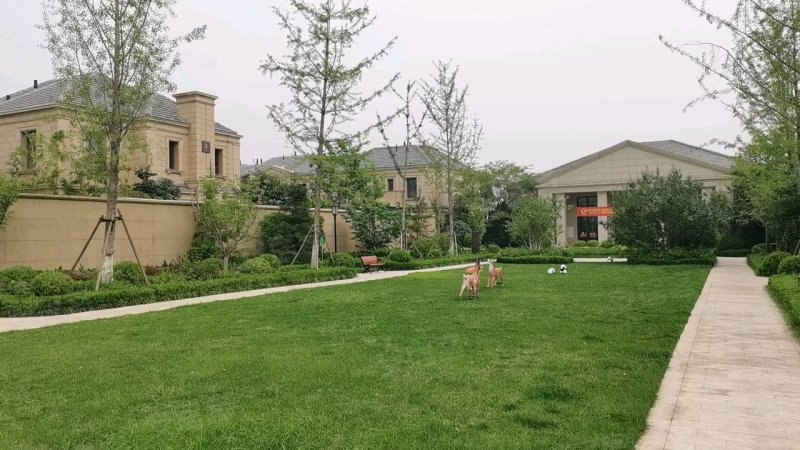 绿城百合花园(别墅),北京路77号-淄博绿城百合花园(别墅)二手房,租房,