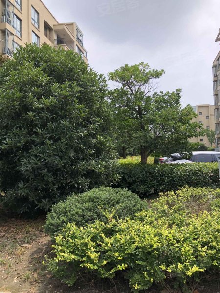 金庭苑(北区),东进西路22号-盐城金庭苑(北区)二手房,租房,房价-盐城