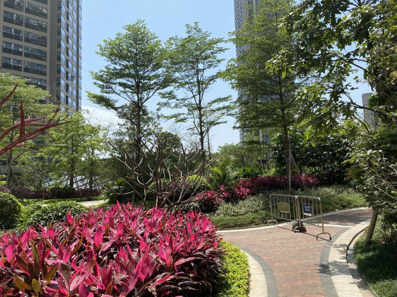 新福港鼎峰,汾江南路-佛山新福港鼎峰二手房,租房,房价-佛山安居客