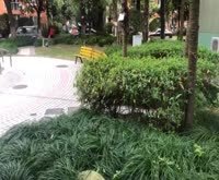 澳丽花苑