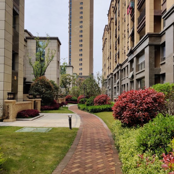 中南世纪城(八期),民富路,近纳海路-盐城中南世纪城(八期)二手房,租房