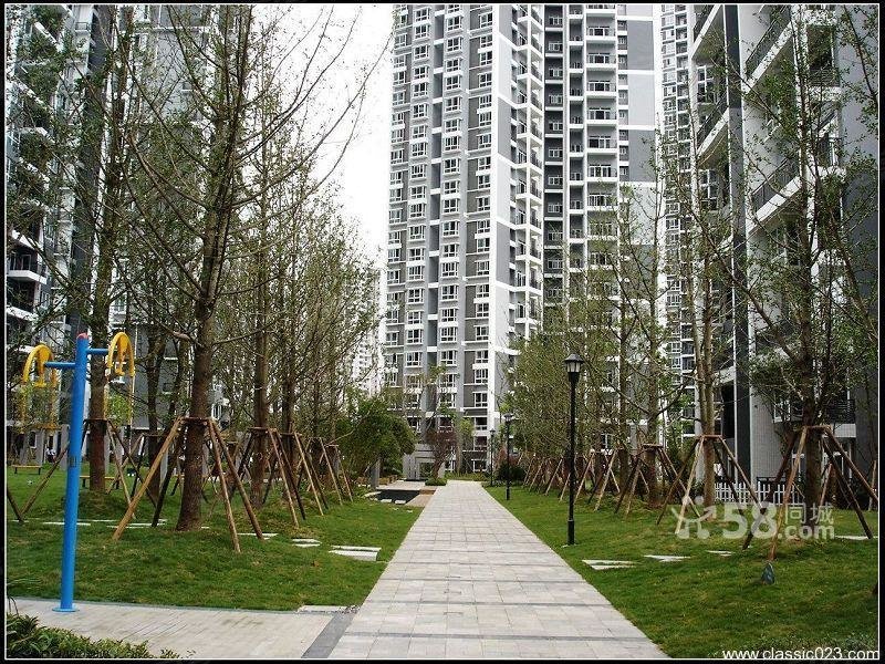 奥林匹克花园雅典阳光