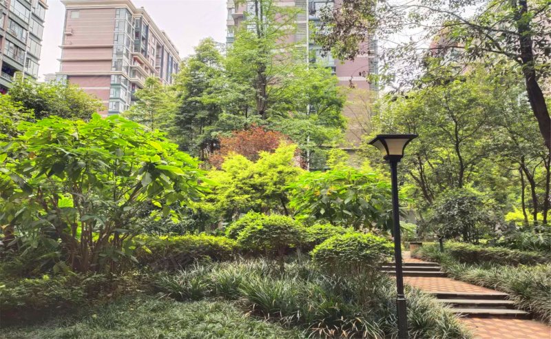 神仙树大院,紫荆西路6号-成都神仙树大院二手房,租房,房价-成都安居客