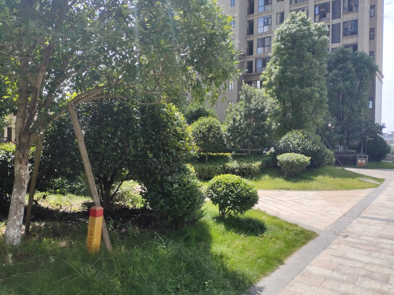 湘泰九龙城,雪峰南路-邵阳湘泰九龙城二手房,租房,房价-邵阳安居客