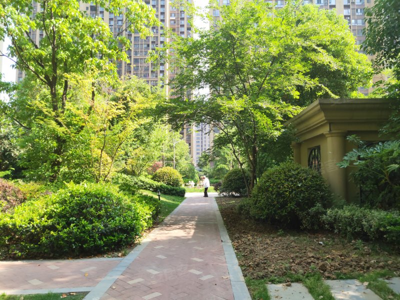 宝龙城市广场(商住楼),阜王路1000号-阜阳宝龙城市广场(商住楼)二手房