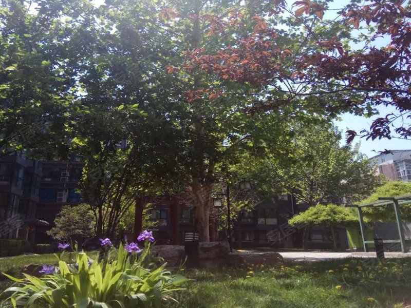 唐缘,吉祥里209号-北京唐缘二手房,租房,房价-北京安居客