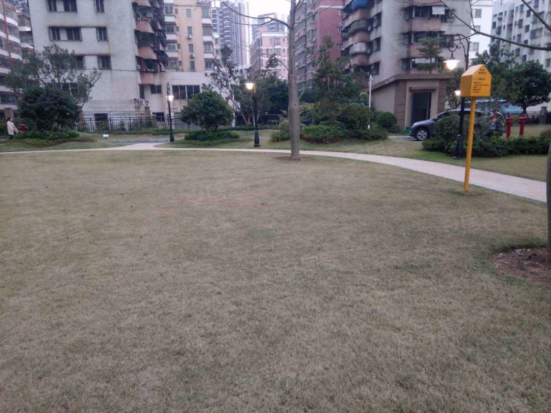 碧桂园三水华府