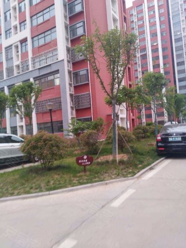 金桥花园板桥社区,板桥路 - 平邑金桥花园板桥社区二手房,租房,房价